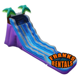 20' Tropical Paradise Inflatable Dual Slide & Pool